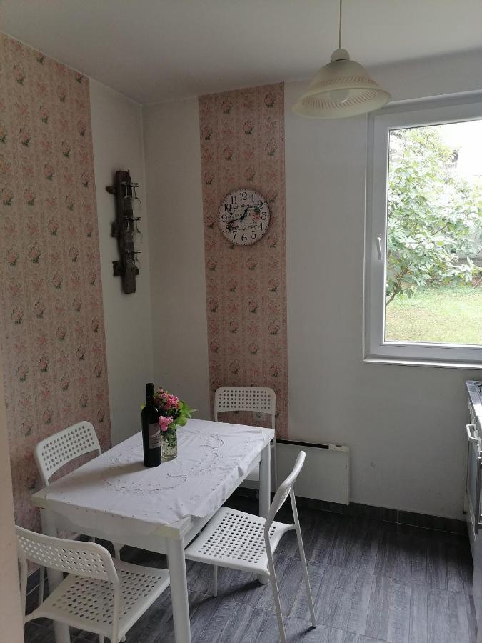 Apartman Garden House Voždivac Exteriér fotografie