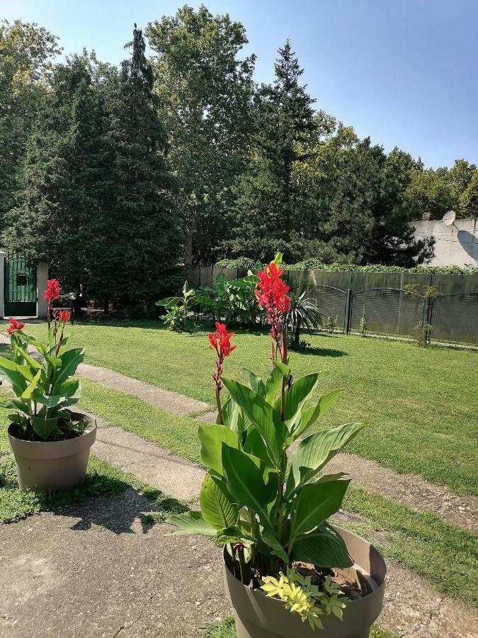 Apartman Garden House Voždivac Exteriér fotografie